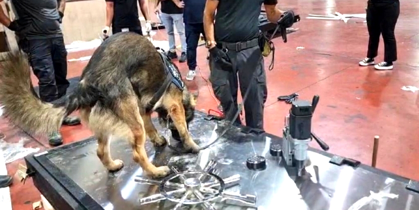 У таможенников своя война — с контрабандой наркотиков