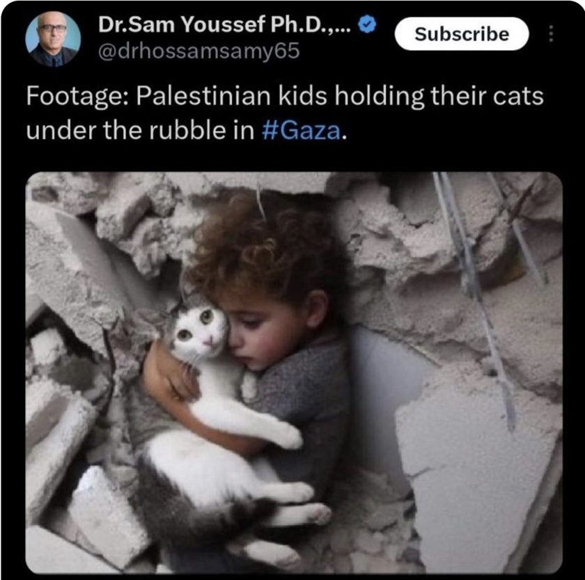 Пропагандисты ХАМАСа нарисовали пятиногую кошку