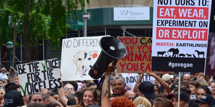 В Южной Корее запретили продажу мяса собак