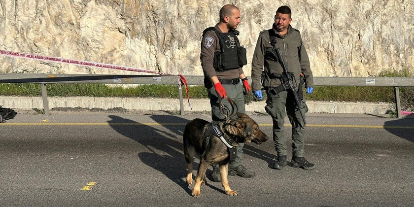 Оперативная съемка: как обезвреживали террористов на 1-м шоссе