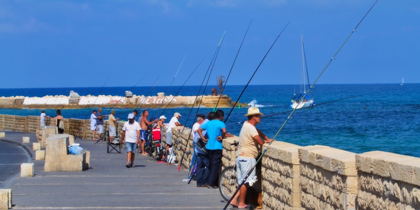 На Средиземном море на 4 месяца запрещена рыбалка, но есть исключения