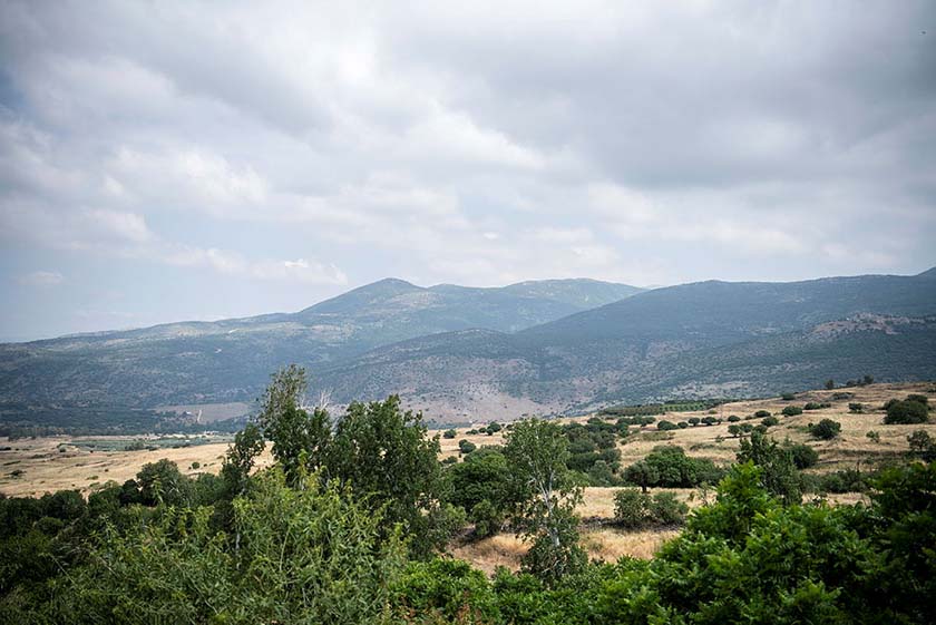 Голанские-высоты