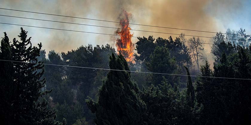 Поджог на горе Скопус в Иерусалиме стал причиной сильнейшего пожара