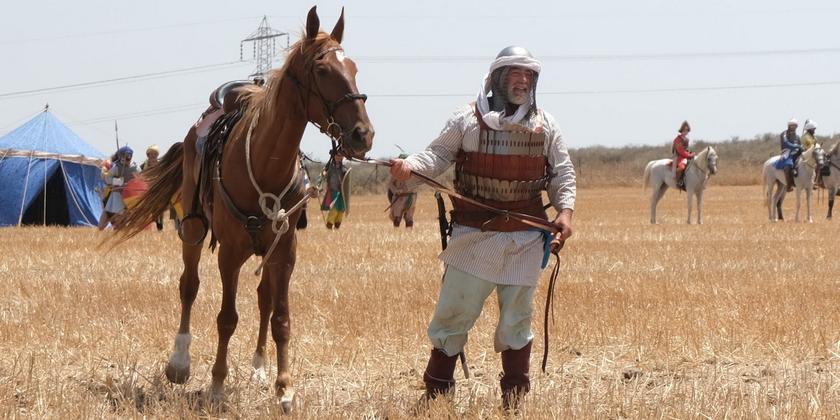 Крестоносцы против сарацинов: в Израиле завершилось необычное сражение (фото)