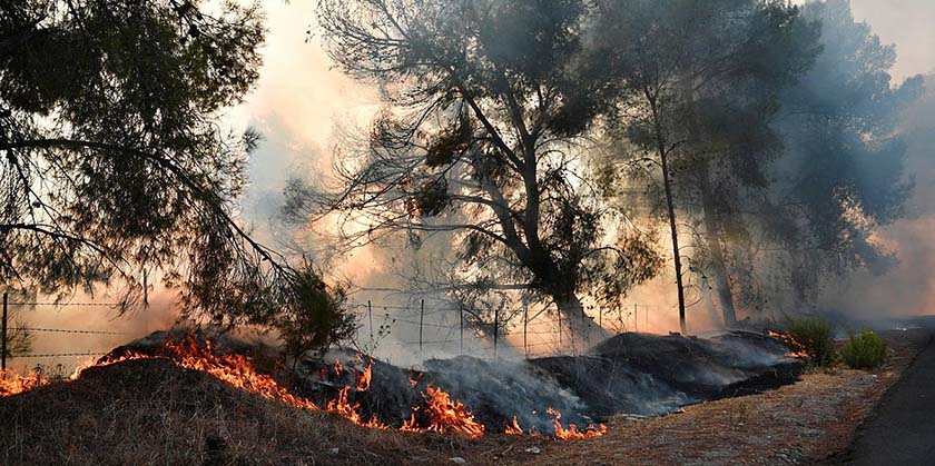 Плюс к засухе еще и пожары: Иран срочно запросил международную помощь