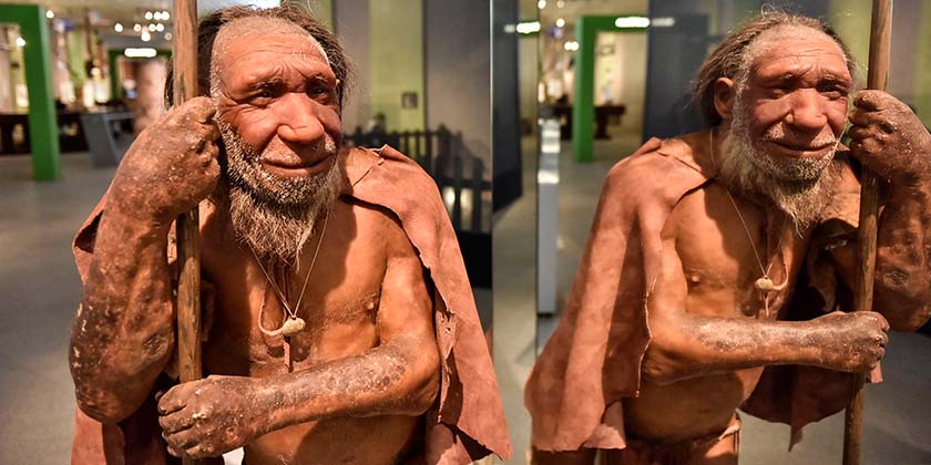 По пути из Африки люди остановились в Персии и выработали новую систему крови