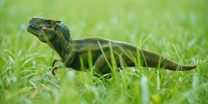 Новый лайфхак в TikTok: зачем есть шпинат, как динозавры