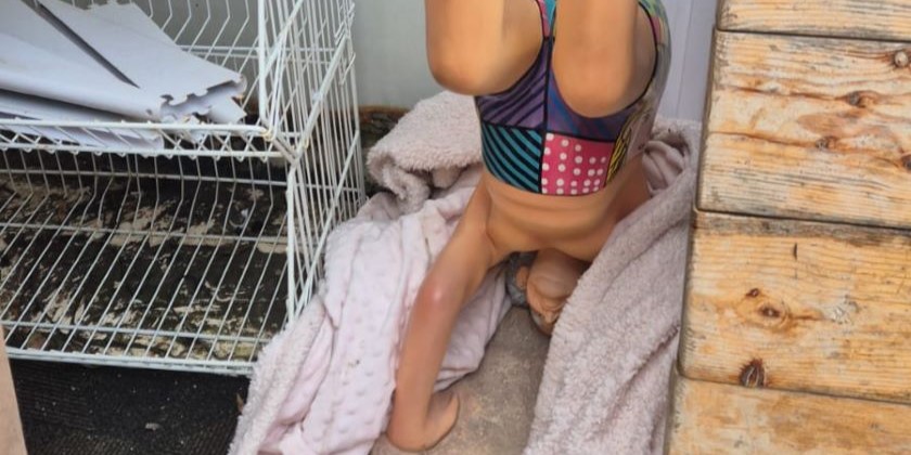 Из отеля в Тель-Авиве украли статую Давида Бен-Гуриона