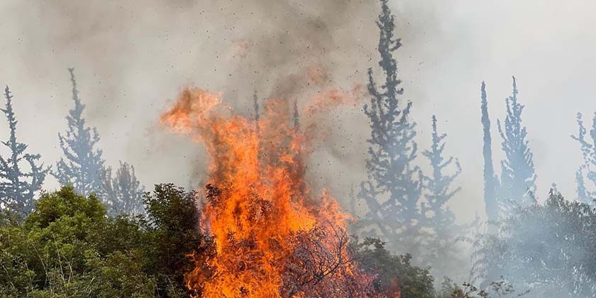 ЦАХАЛ арестовал двух палестинцев, подстрекавших к поджогам и насилию
