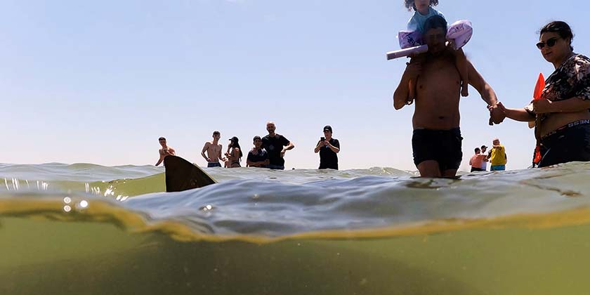 Посол Франции в Израиле: Давайте вместе спасать моря и океаны