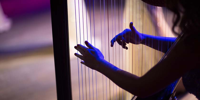 Престижный израильский конкурс арфистов отменен из-за бойкота и низкой явки