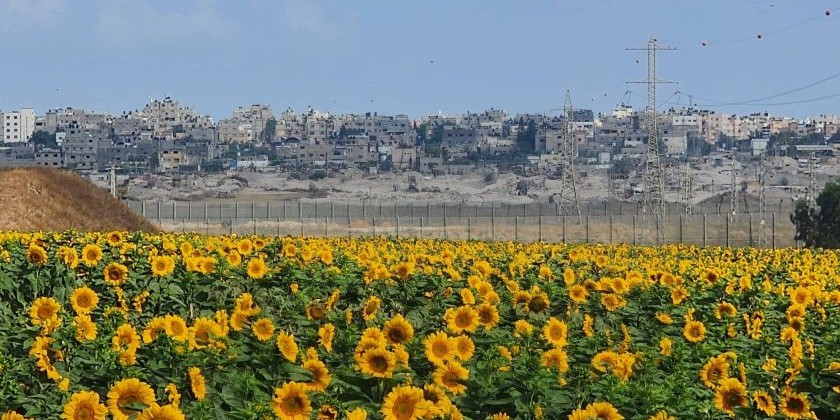 Отчет: 90% жителей окрестностей сектора Газа вернулись домой