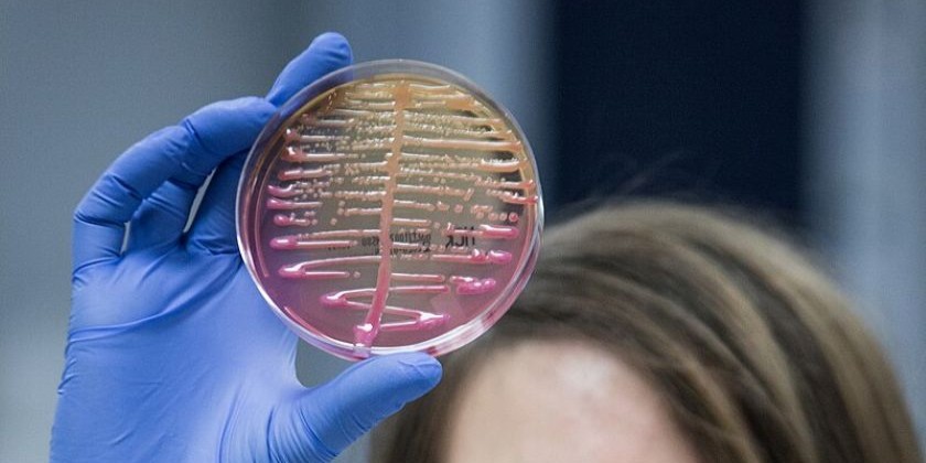 ВОЗ выявила новую угрозу: микробы, устойчивые к антибиотикам