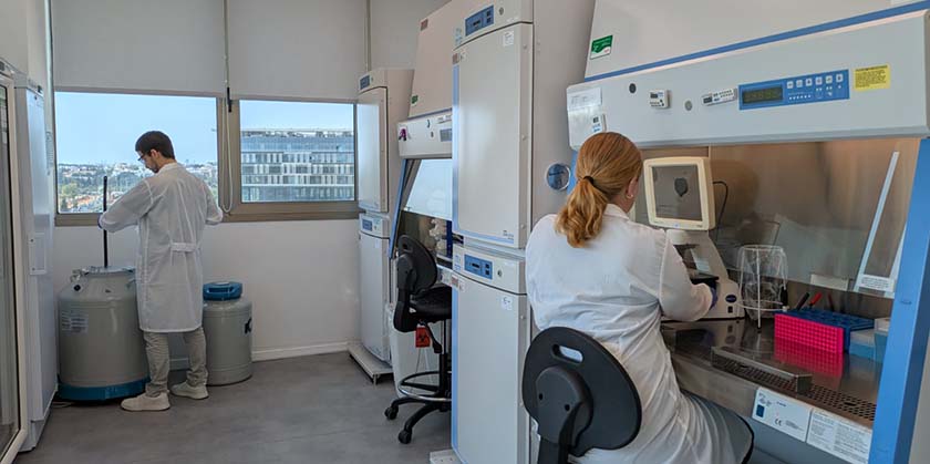 Встань и иди: в Израиле придумали лекарство от паралича