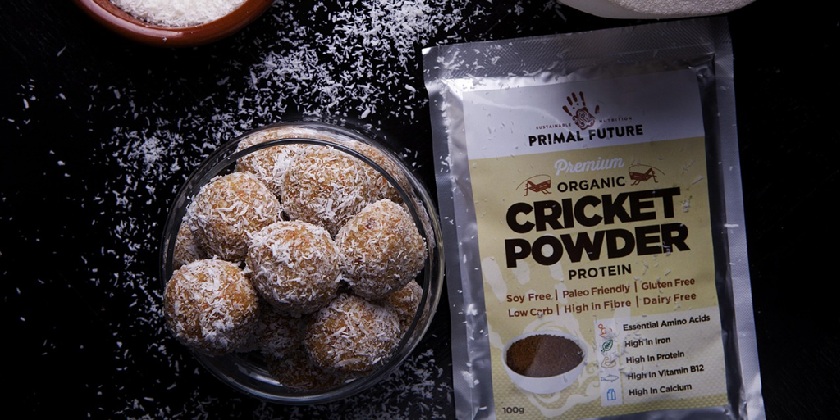 Мир охватила «протеиновая лихорадка»: производители спешат адаптироваться к новому тренду