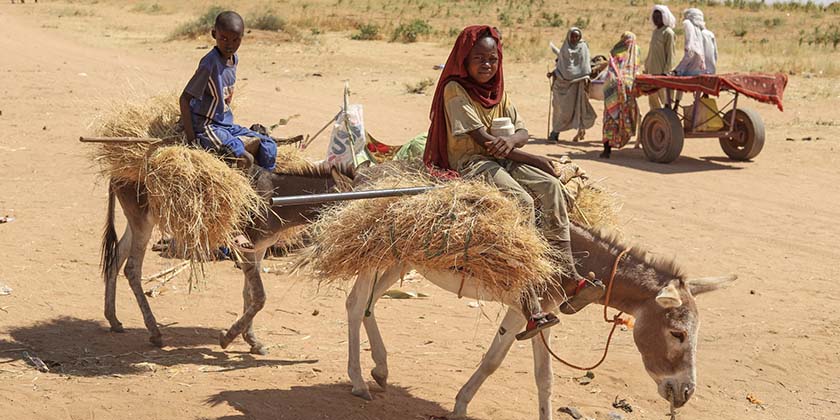 Вооружённые формирования Судана устроили резню в больнице Дарфура — сотни погибших