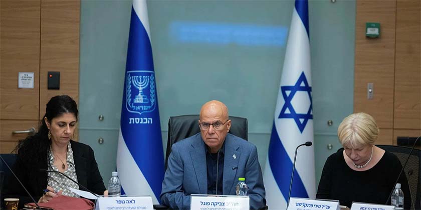 Комиссия кнессета: «Смертный приговор – в течение 90 дней без права апелляции»