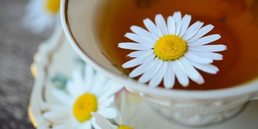 Так вы укрепите свой организм к зиме и избежите заболеваний