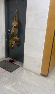 подвесил мертвого шакала