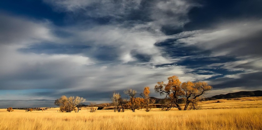 Дикий антисемитизм в Аргентине: израильтян обвиняют в лесных пожарах