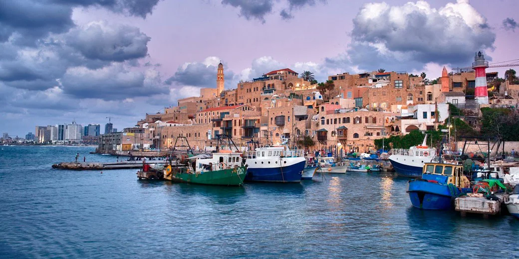 На пороге праздника: в Яффо зажжены огни на рождественской елке