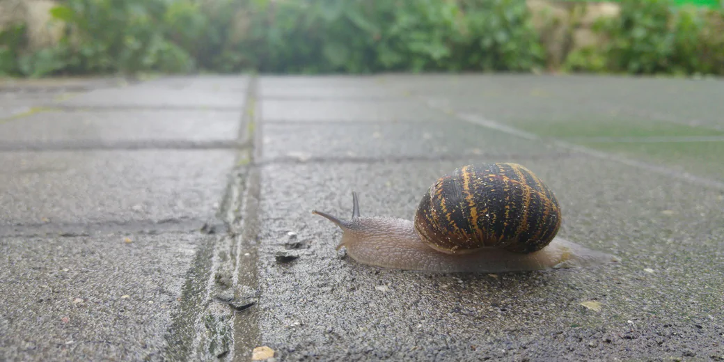 Погода в Израиле: метеослужба выпустила «оранжевое» предупреждение