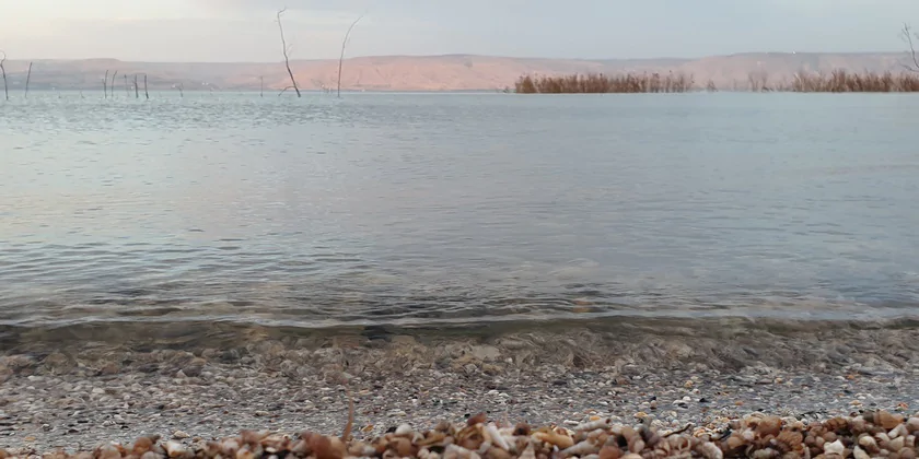 Погода в Израиле: температура соответствует сезонной норме