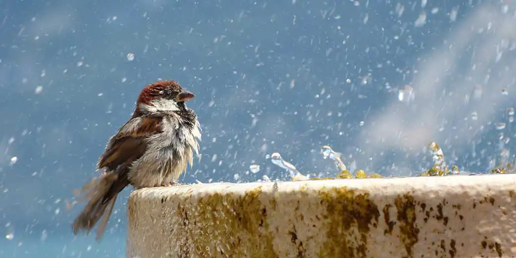 В Израиле зафиксирован температурный рекорд