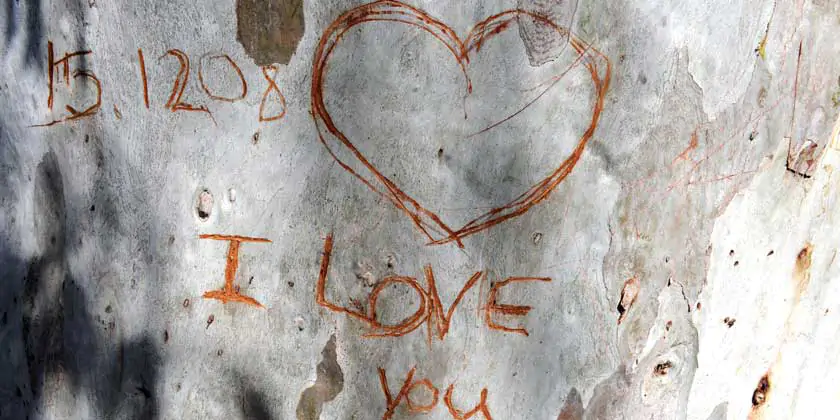 «Все евреи делают это»: Глава восьмая: СТРОГИЕ ПРАВИЛА ПЕРВОЙ БРАЧНОЙ НОЧИ