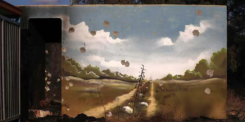 Невероятный героизм: Анер Шапира отбивался от террористов их собственными гранатами (видео)