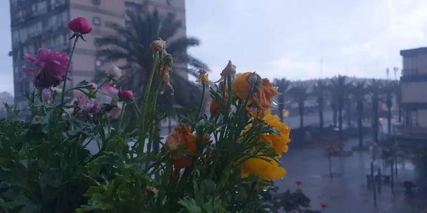 Приготовьте зонтики – дожди возвращаются